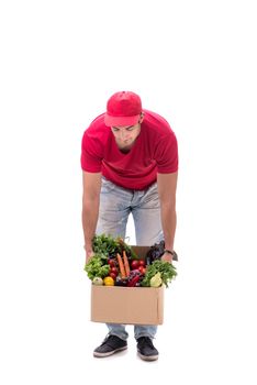 Concept of shopping delivery isolated on white background