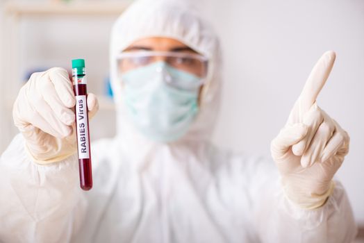 Young handsome lab assistant testing blood samples in hospital 