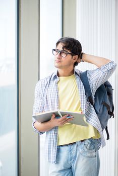Young handsome student standing at the window 