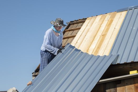 the Builder carefully lifts, holds the roofing iron for repairing the roof of a country house