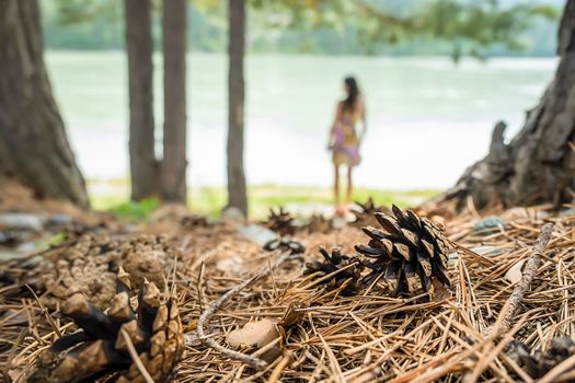a dry pine cone and pine needles lie in the forest on the ground against the background of the river and the blurred romantic silhouette of a girl
