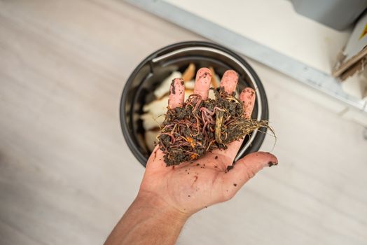 Hand showing composting worms from homemade sustainable waste disposal.