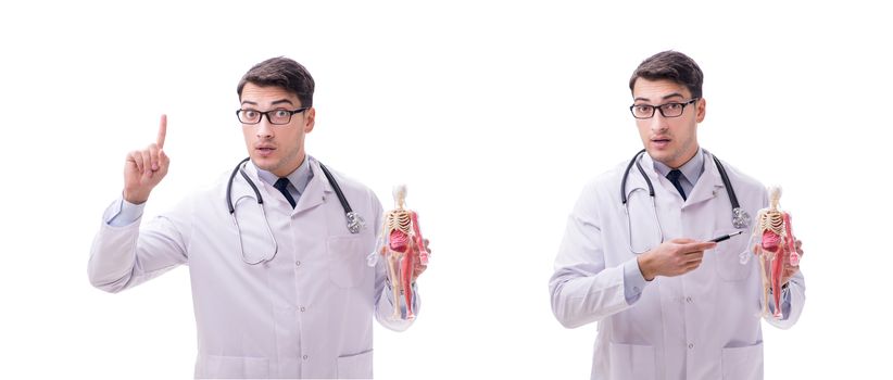 Young male doctor with skeleton isolated on white