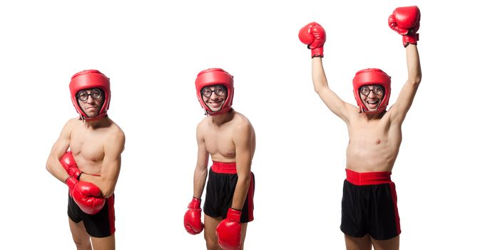 Funny boxer isolated on the white