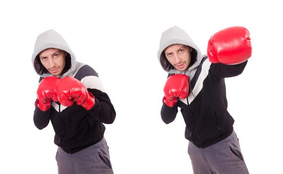 Funny boxer isolated on the white