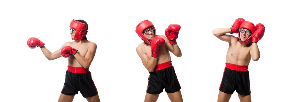 Funny boxer isolated on the white