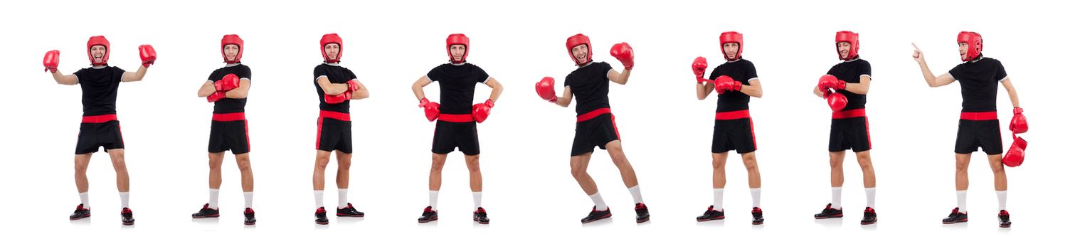 Funny boxer isolated on the white