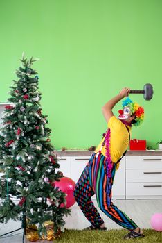 Funny clown in Christmas celebration concept 