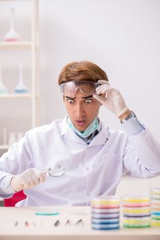 Young chemist working in the lab 