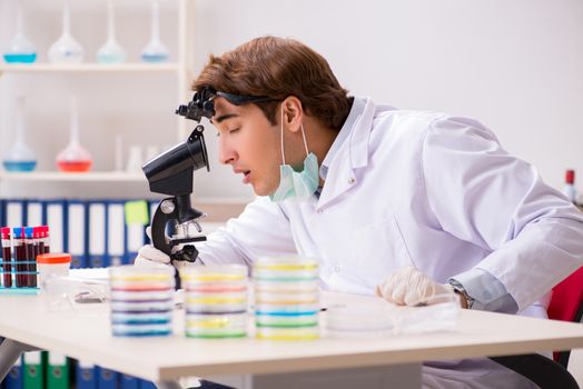 Young chemist working in the lab 