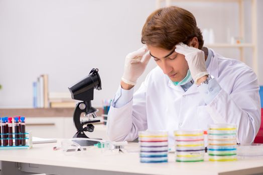 Young chemist working in the lab 