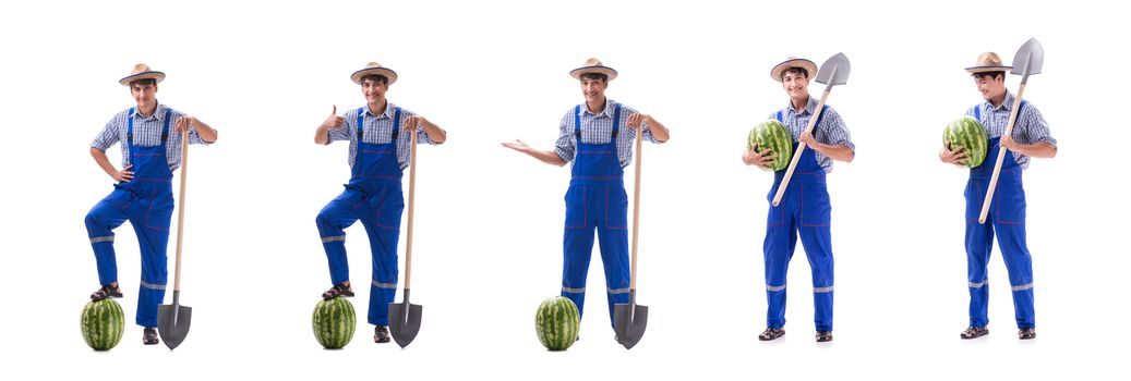 Young farmer with watermelon isolated on white