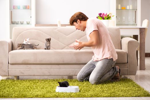 Young man playing with kitten at home