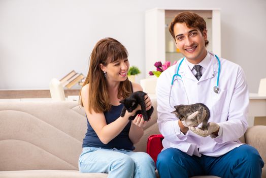 Vet doctor visiting sick kittens at home