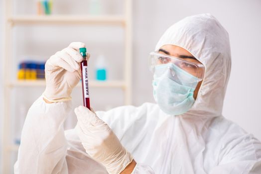 Young handsome lab assistant testing blood samples in hospital 