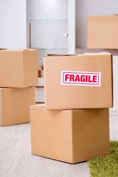 Man moving house and relocating with fragile items