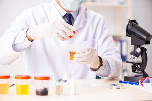 Young handsome chemist working in the lab