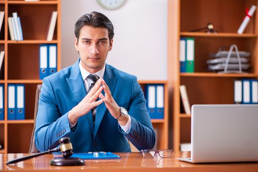 Lawyer working in the office