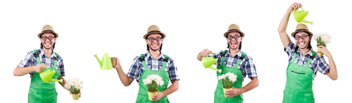 Funny gardener with watering can isolated on white