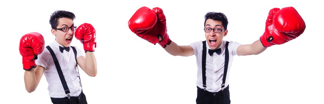 Funny boxer isolated on the white background