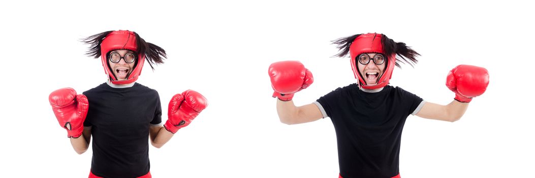 Funny boxer isolated on the white