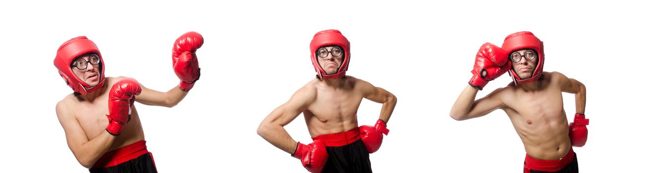 Funny boxer isolated on the white