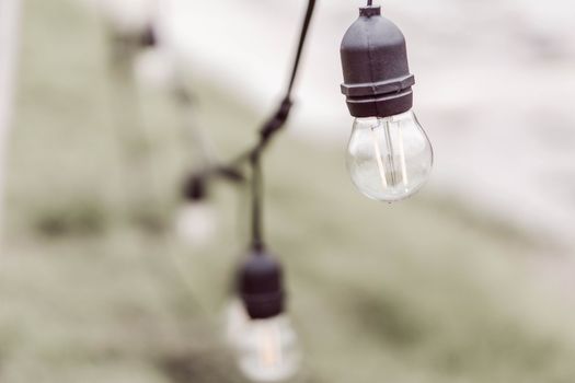 Light bulb on the green garden