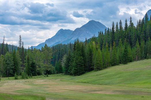Photo of a clearing in the woods surrounded by trees with the Canadian Rockies in the background.