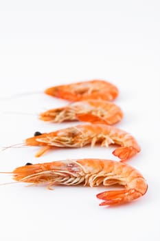 Prawns isolated on white background