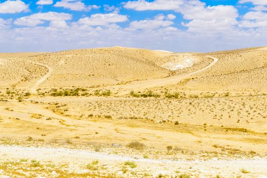 View of the Negev Desert, from Tali Lookout Point. Southern Israel