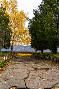 Autumn season with fallen leaves in autumn colorful park alley. Colorful trees and fallen leaves in autumn park. Beautiful autumn path on a sunny day.