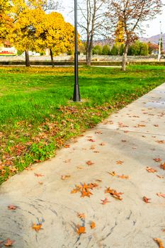 Autumn season with fallen leaves in autumn colorful park alley. Colorful trees and fallen leaves in autumn park. Beautiful autumn path on a sunny day.