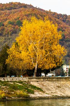 Autumn season with fallen leaves in autumn colorful park alley. Colorful trees and fallen leaves in autumn park. Beautiful autumn path on a sunny day.