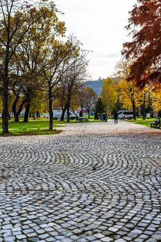 Autumn season with fallen leaves in autumn colorful park alley. Colorful trees and fallen leaves in autumn park. Beautiful autumn path on a sunny day.