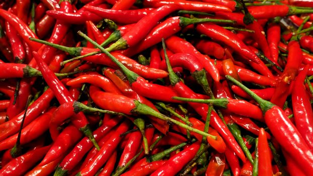 Many colorful hot spicy organic chilli ingredient for asian thai street food such as Tom yum and anymore 