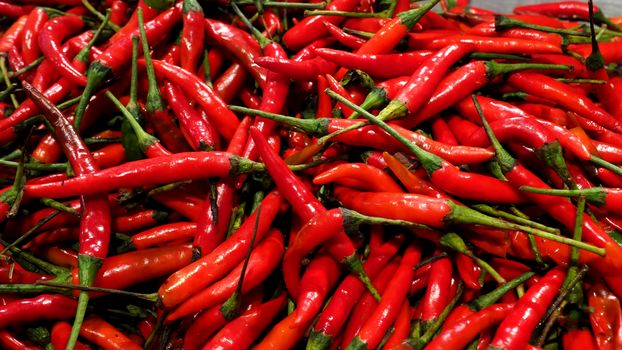 Many colorful hot spicy organic chilli ingredient for asian thai street food such as Tom yum and anymore 