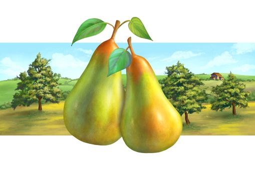 Pear orchard and rural landscape, suitable for label designs. Digital illustration,.
