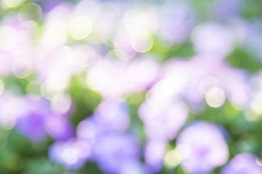 Abstract blur of nature with green and purple