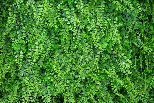 wall made of artificial green plants, artificial landscaping in the interior.