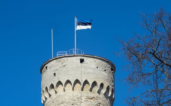 Estonian flag on the tower against the blue sky on a bright Sunny day