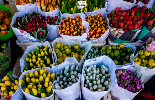 Multicolored bouquets of tulips in the window of a flower shop