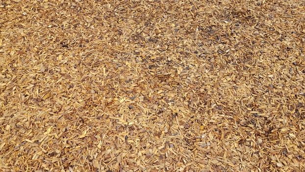 wet brown mulch or wood chips or bark dust on ground or background
