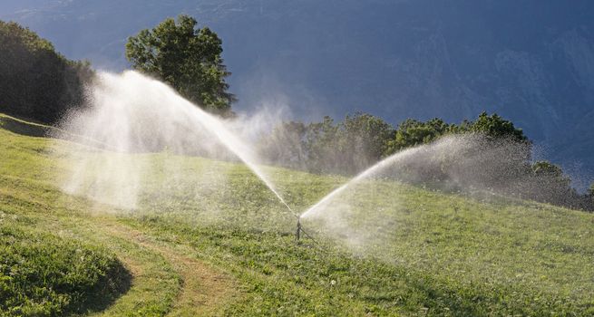 Sprinkler watering a lawn in Switserland, summertime