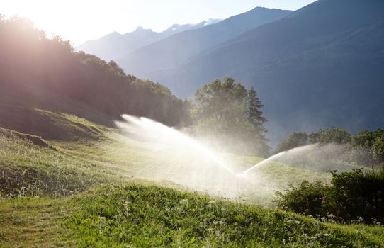 Sprinkler watering a lawn in Switserland, summertime