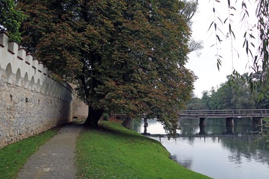 Walking path along the river or lake