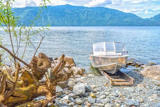 view of the root of an old snag a sinking tree and a motor boat on the background of a lake with a mountain landscape