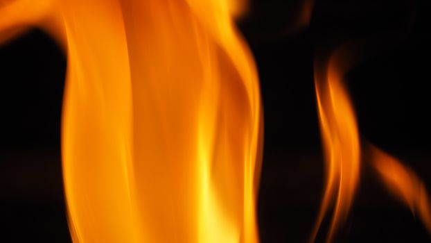 Close-up images of fire or flame burning on black background which represent of powerful of hot such as chilli or something that related with spicy.