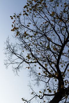 Details of the East, shadows and colors away.
