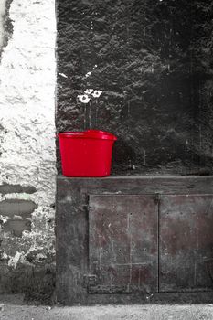 Grunge representation of a flowerpot in environmental decay.