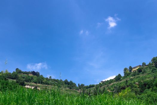 Unusual perspective of a rural landscape, in the middle of spring.